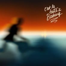 Charger l'image dans la galerie, Artistes Variés / C'est La Faute à Bashung - 2LP COLOR COFFRET