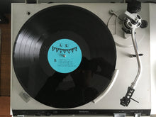 Charger l&#39;image dans la galerie, Le Trouble / Making Matters Worse - LP Vinyl