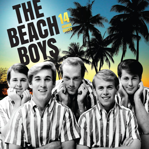 The Beach Boys / 14 grands succès - CD