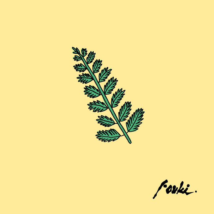 FouKi / Zay - CD