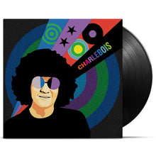 Load image into Gallery viewer, Robert Charlebois / Et voilà - LP Vinyl