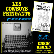 Load image into Gallery viewer, Les Cowboys Fringants ‎/ Finally reunited: 12 great songs / On my couch - 2LP Vinyl