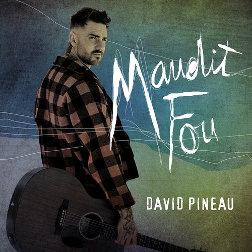 David Pineau / Maudit fou - CD