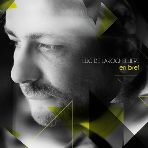 Luc De Larochellière / En bref (Best Of) - 2CD