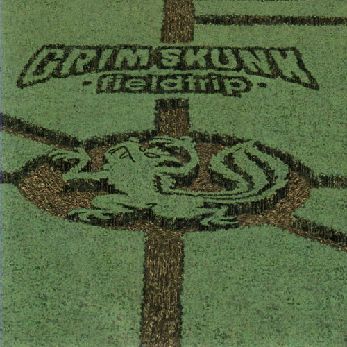 GrimSkunk / Fieldtrip - LP Vinyl