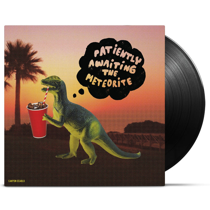 Patiently Awaiting The Meteorite / Canyon Diablo - LP Vinyl