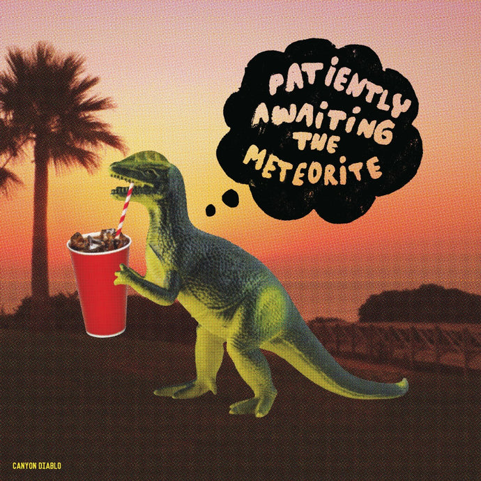 Patiently Awaiting The Meteorite / Canyon Diablo - CD