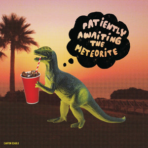 Patiently Awaiting The Meteorite / Canyon Diablo - LP Vinyl